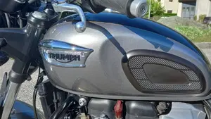 Triumph Bonneville T100 Gold Line Edition (2022)  (16)