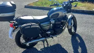 Triumph Bonneville T100 Gold Line Edition (2022)  (17)