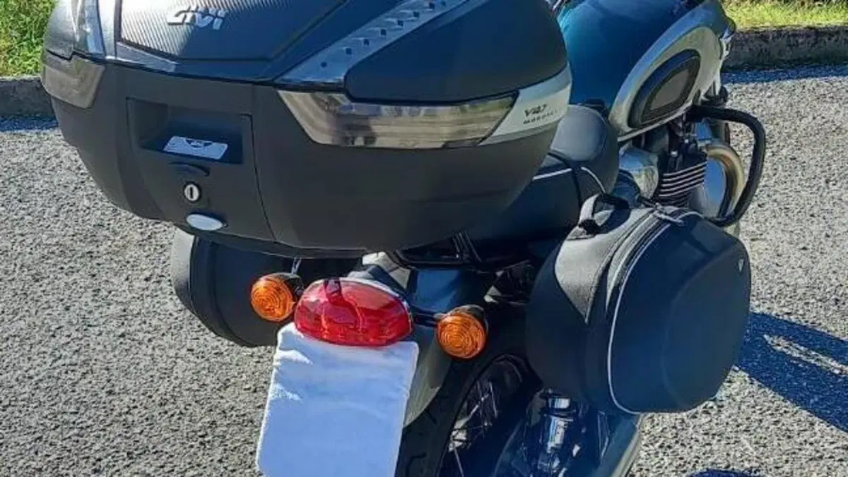 Triumph Bonneville T100 Gold Line Edition (2022)  (18)