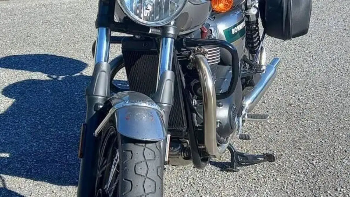 Triumph Bonneville T100 Gold Line Edition (2022)  (19)