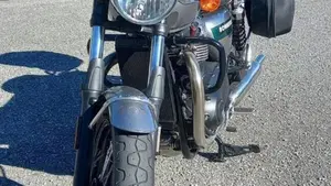 Triumph Bonneville T100 Gold Line Edition (2022)  (19)