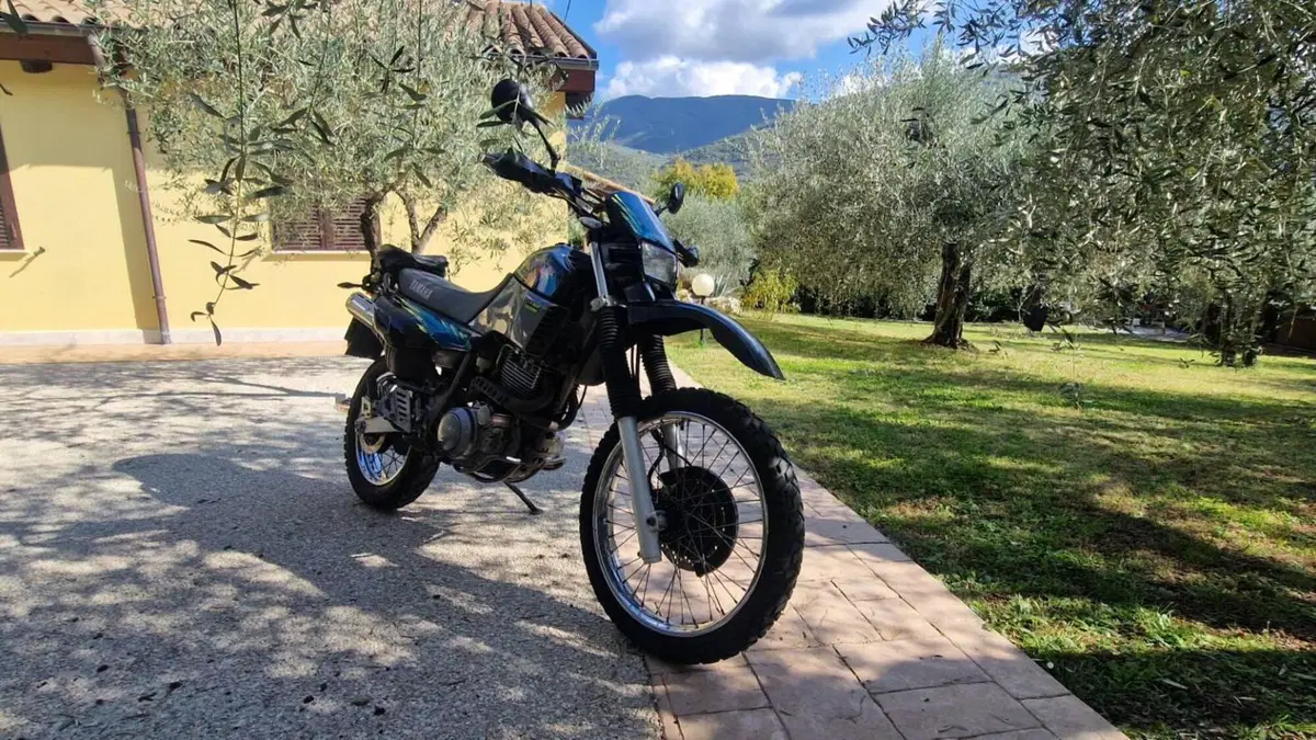 Yamaha XT 600 (1984 - 98)  (2)