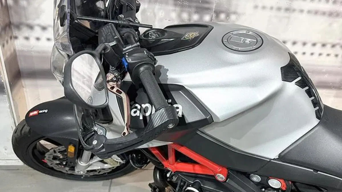 Aprilia Shiver 900 ABS (2017 - 18)  (7)