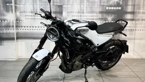 Husqvarna Vitpilen 401 (2021 - 23)  (6)
