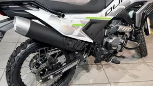 CFMOTO CFLite 250 Dual (2026)  (3)