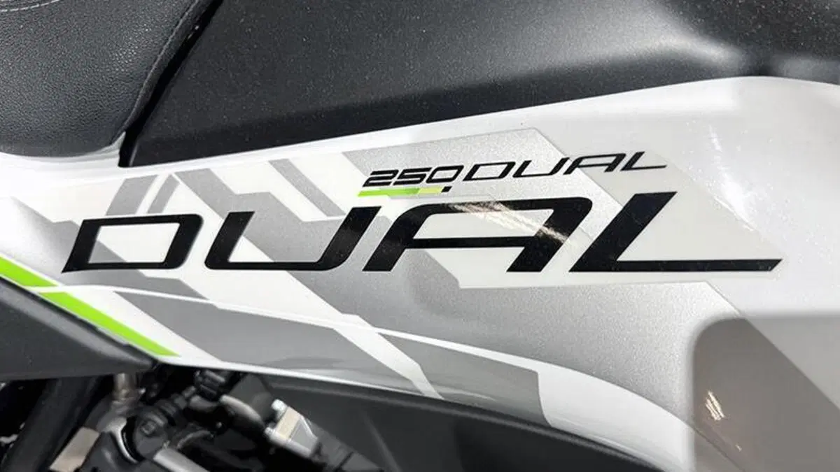 CFMOTO CFLite 250 Dual (2026)  (6)