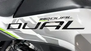 CFMOTO CFLite 250 Dual (2026)  (6)