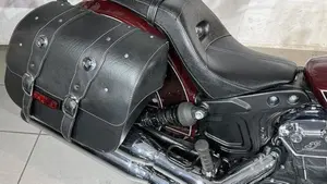Indian Scout 1133 (2021 - 25)  (5)