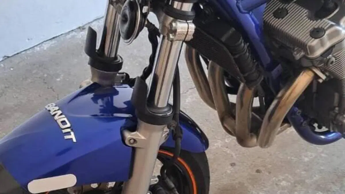 Suzuki GSF 600 Bandit (2000 - 05)  (8)