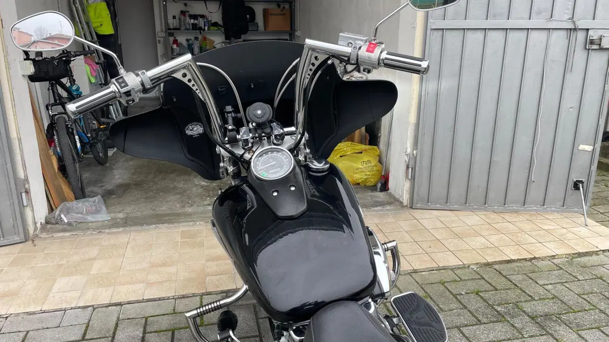 Honda VT 750 Shadow Spirit  (6)