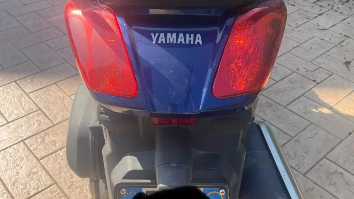 Yamaha X-Max 250 (2007 - 09)  (8)