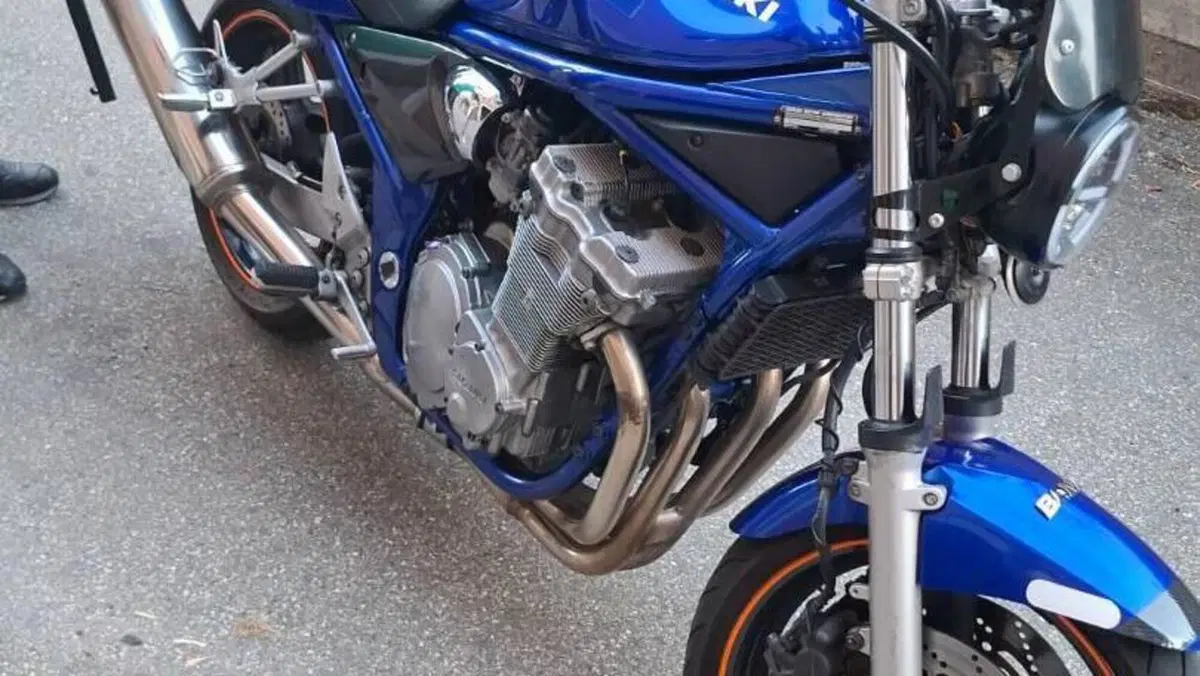 Suzuki GSF 600 Bandit (2000 - 05)  (2)