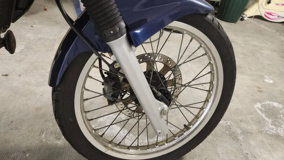 Kawasaki KLE 500 (2001 - 04)  (3)