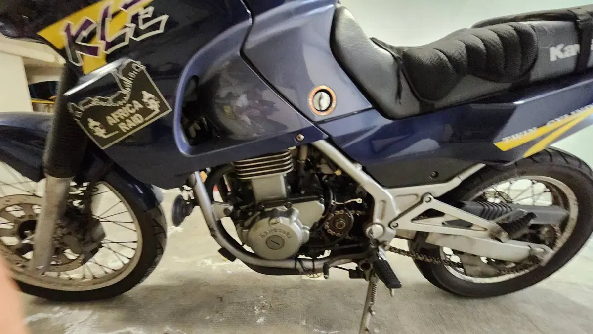 Kawasaki KLE 500 (2001 - 04)  (13)