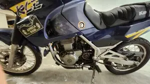 Kawasaki KLE 500 (2001 - 04)  (13)