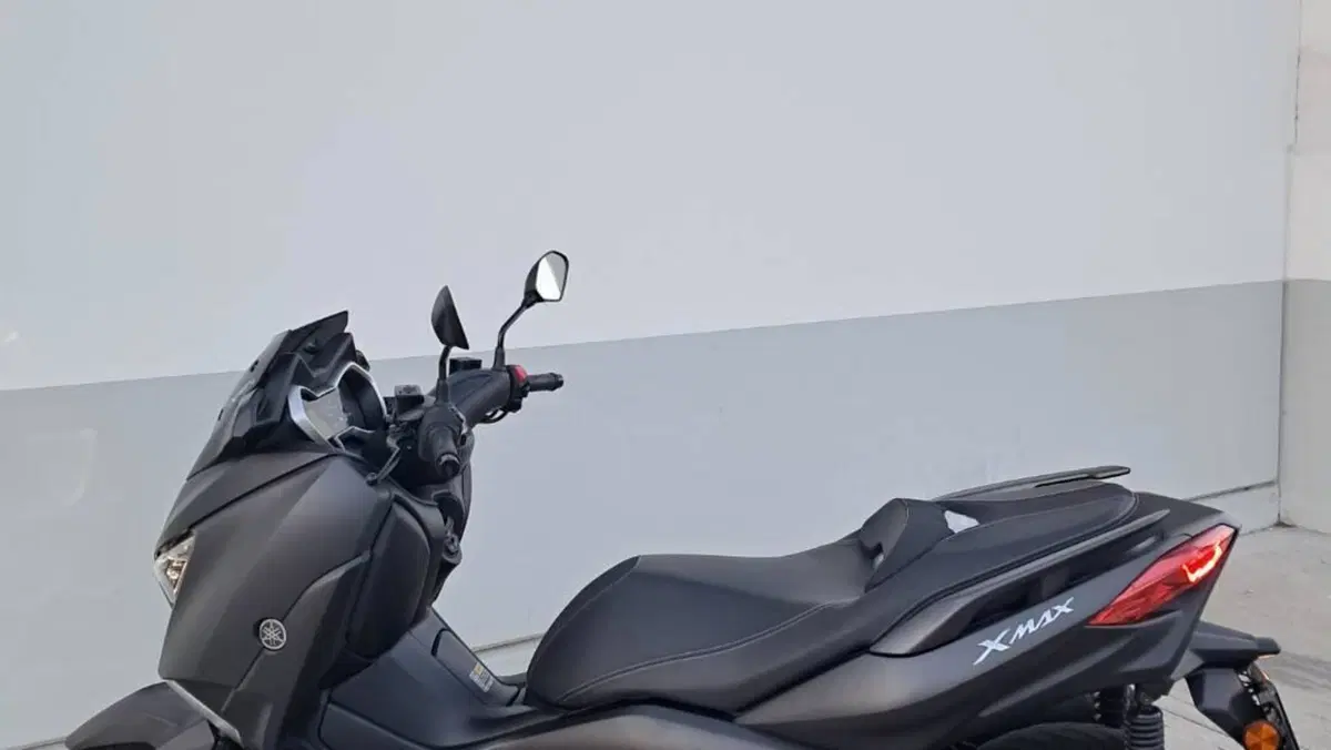 Yamaha X-Max 300 ABS (2017 - 20)  (5)