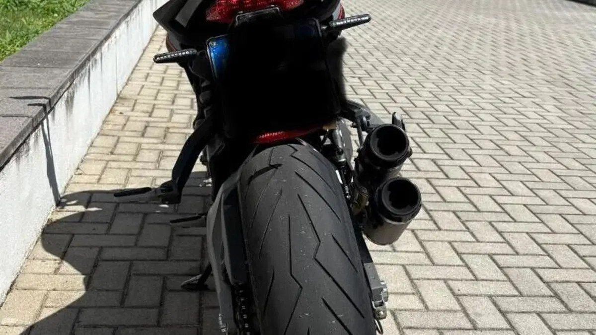 Ducati Monster 821 Stealth (2019 - 20)  (4)