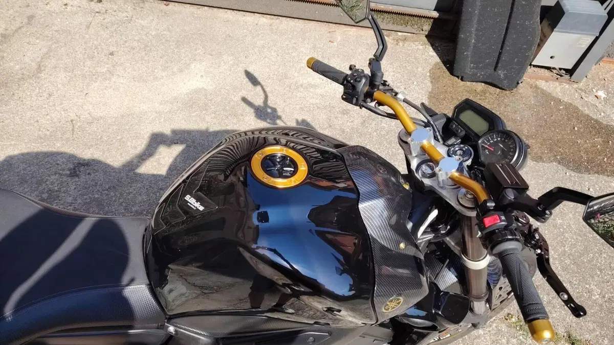Yamaha FZ1 ABS (2006 - 16)  (6)