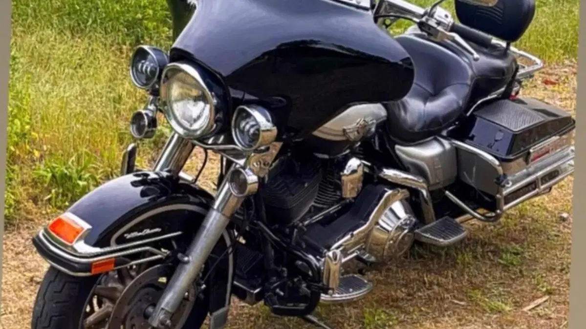 Harley-Davidson 1450 Electra Glide Ultra Classic (2003 - 05) - FLHTCUI  (3)