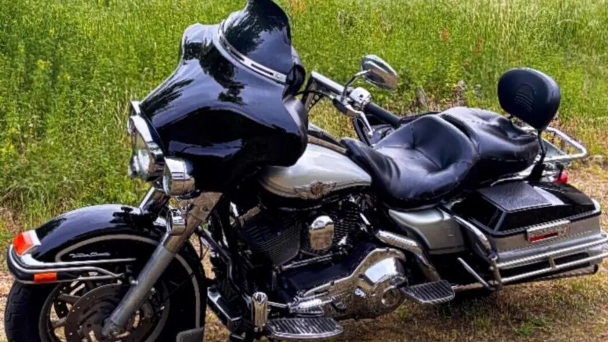 Harley-Davidson 1450 Electra Glide Ultra Classic (2003 - 05) - FLHTCUI  (4)