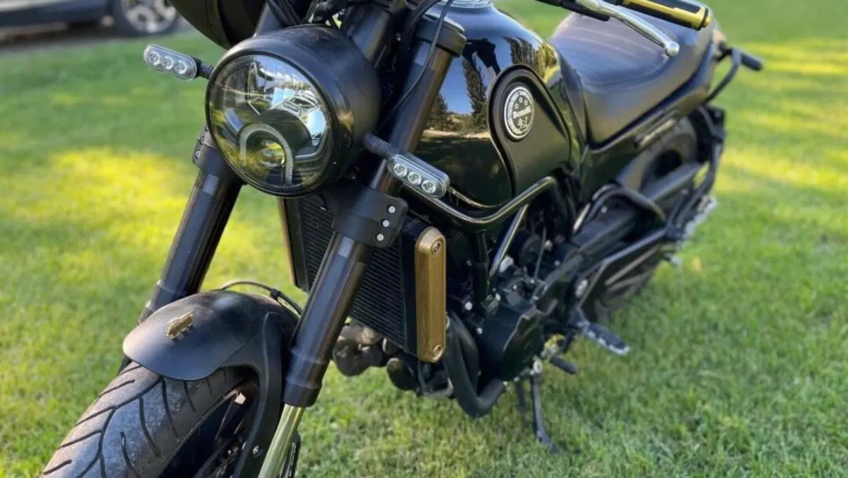 Benelli Leoncino 500 ABS (2017 - 20)  (2)