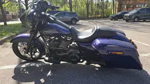 Harley-Davidson Street Glide Special (2021 - 23)  (2)