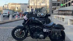 Harley-Davidson 883 Iron (2014 - 16) - XL 883N  (3)