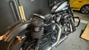 Harley-Davidson 883 Iron (2014 - 16) - XL 883N  (4)