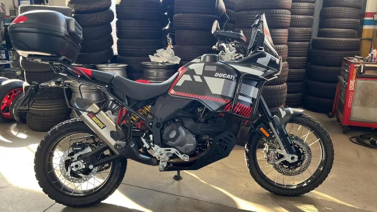 Ducati DesertX (2022 - 25)  (5)