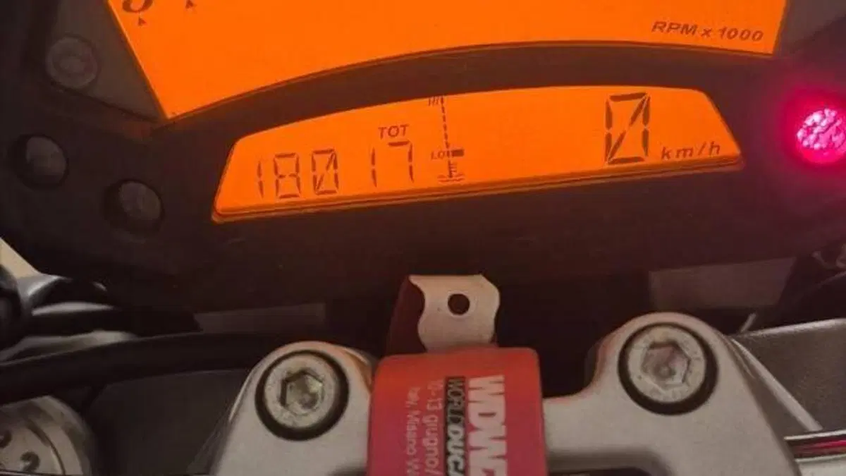 Ducati Monster 696 Plus (2007 - 14)  (5)