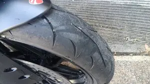 Ducati 959 Panigale (2016 - 19)  (12)