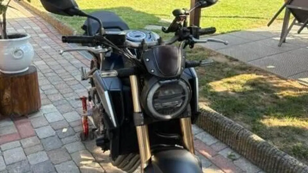 Honda CB 650 R (2019 - 20)  (2)