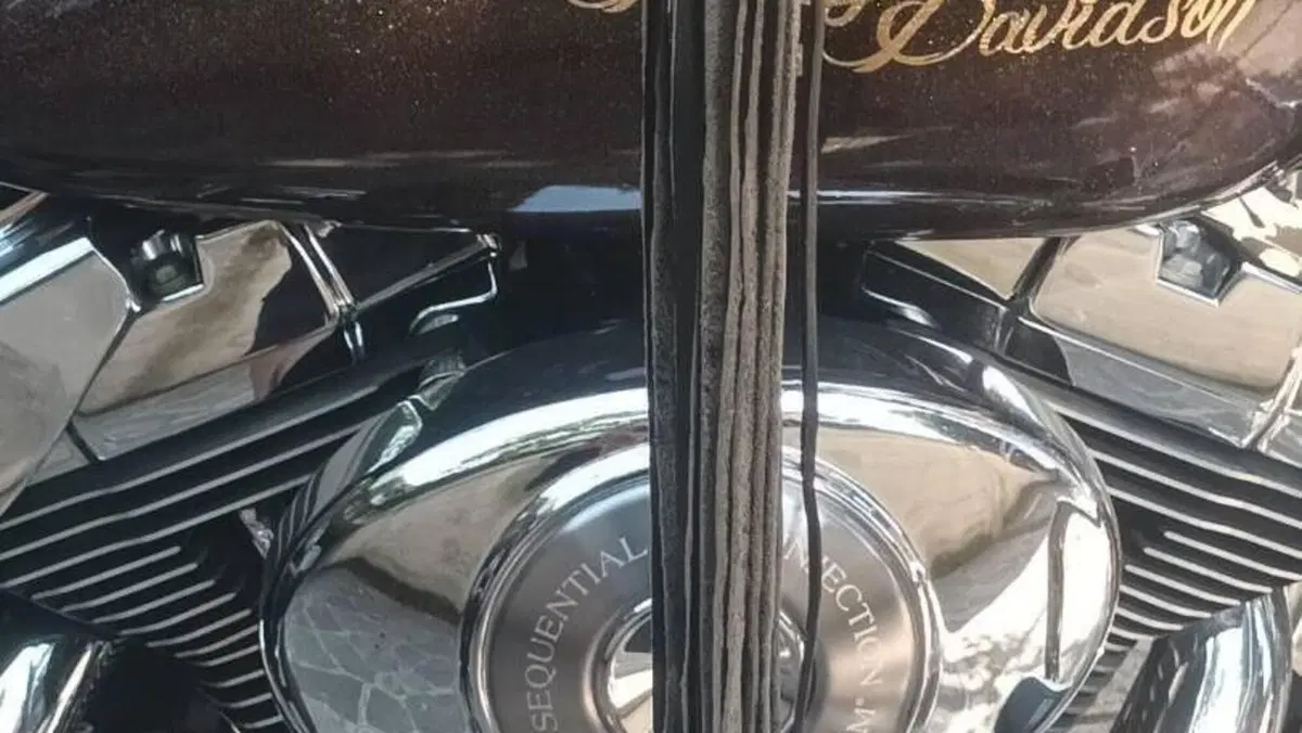 Harley-Davidson 1450 Road King Custom (2002 - 04) - FLHRSI  (2)
