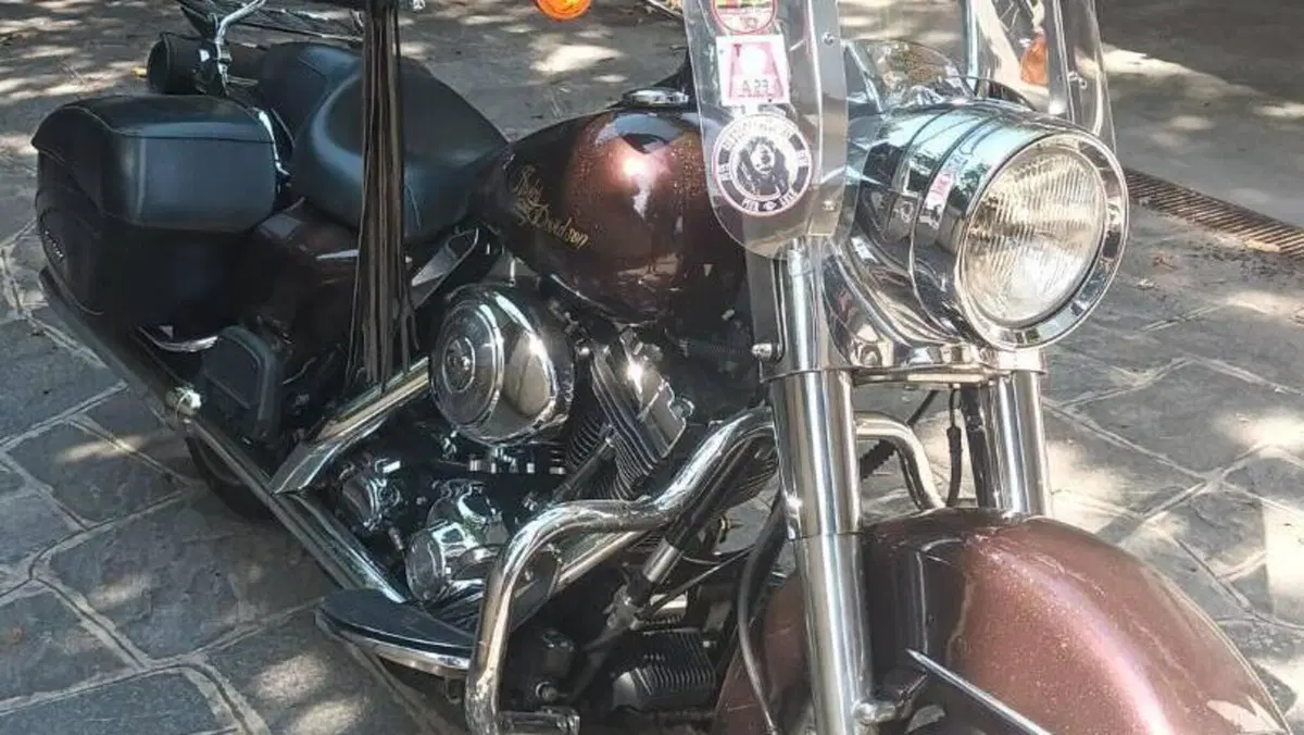 Harley-Davidson 1450 Road King Custom (2002 - 04) - FLHRSI  (8)