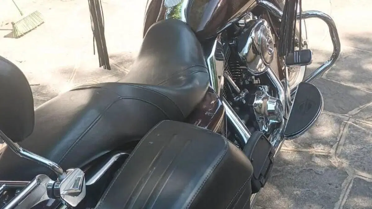 Harley-Davidson 1450 Road King Custom (2002 - 04) - FLHRSI  (7)