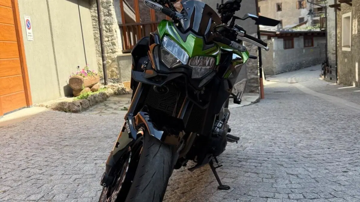 Kawasaki Z 900 (2021 - 24)  (2)