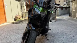 Kawasaki Z 900 (2021 - 24)  (2)
