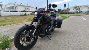Harley-Davidson 114 FXDR (2019 - 20)  (4)