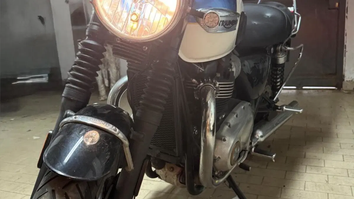 Triumph Bonneville T100 (2017 - 20)  (2)