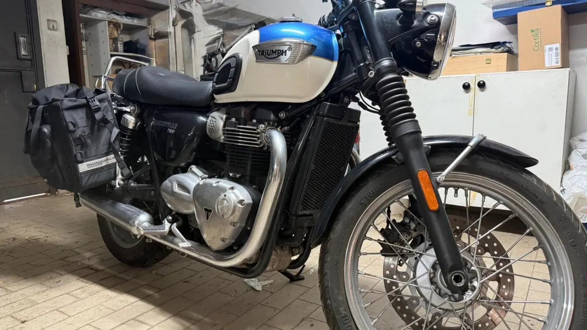 Triumph Bonneville T100 (2017 - 20)  (4)