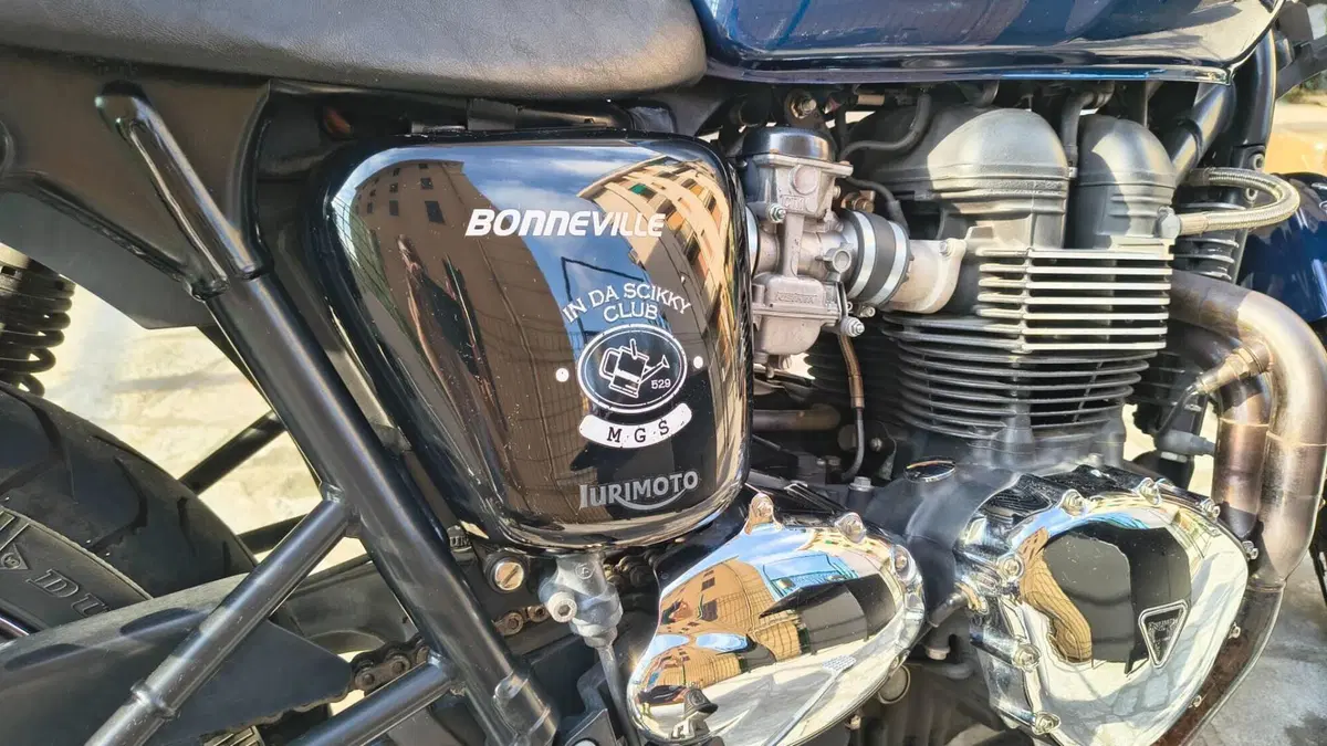 Triumph Bonneville T100 (2008 - 16)  (5)