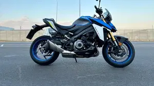 Suzuki GSX-S1000 (2021 - 25)  (8)