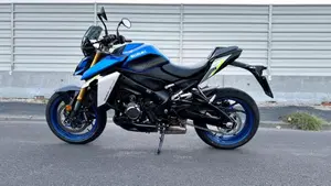 Suzuki GSX-S1000 (2021 - 25)  (9)