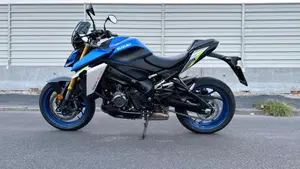 Suzuki GSX-S1000 (2021 - 25)  (10)
