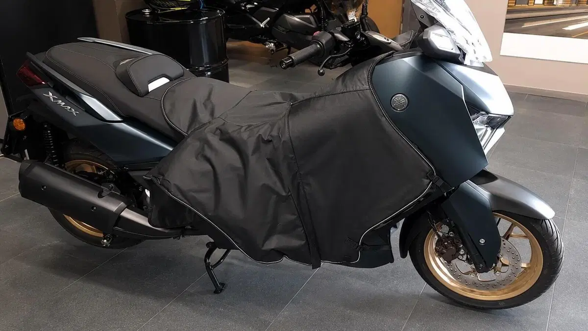 Yamaha X-Max 300 Tech Max (2021 - 24)  (8)