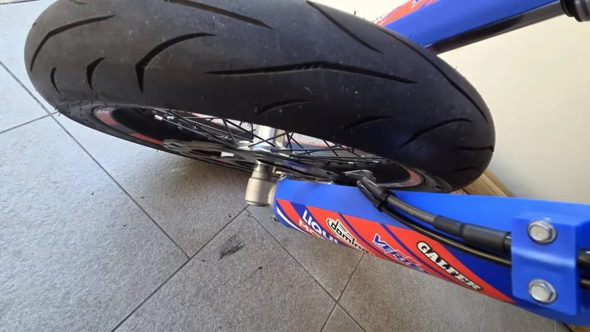 Betamotor RR 125 4T Motard R (2023 - 24)  (4)