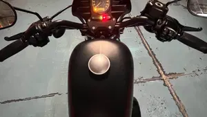 Harley-Davidson 883 Iron (2014 - 16) - XL 883N  (2)