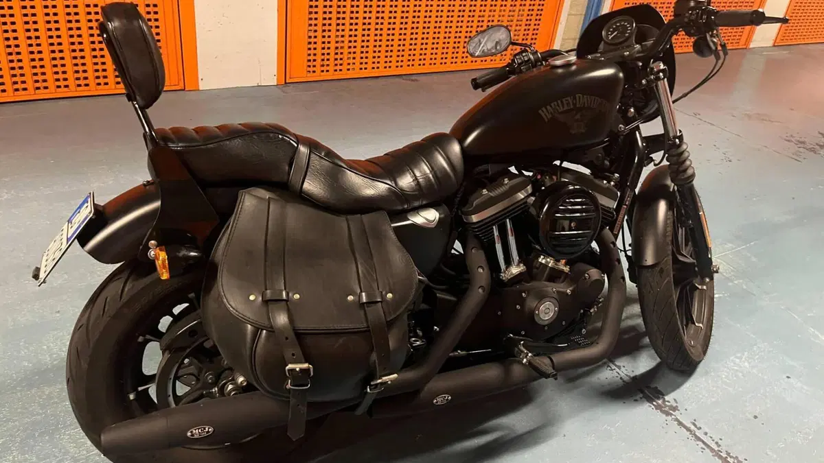 Harley-Davidson 883 Iron (2014 - 16) - XL 883N  (5)