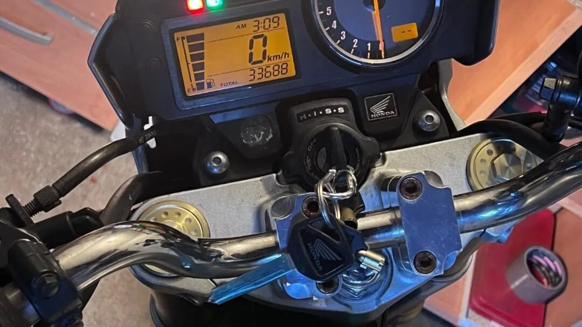 Honda Hornet 600 (2005 - 06)  (6)