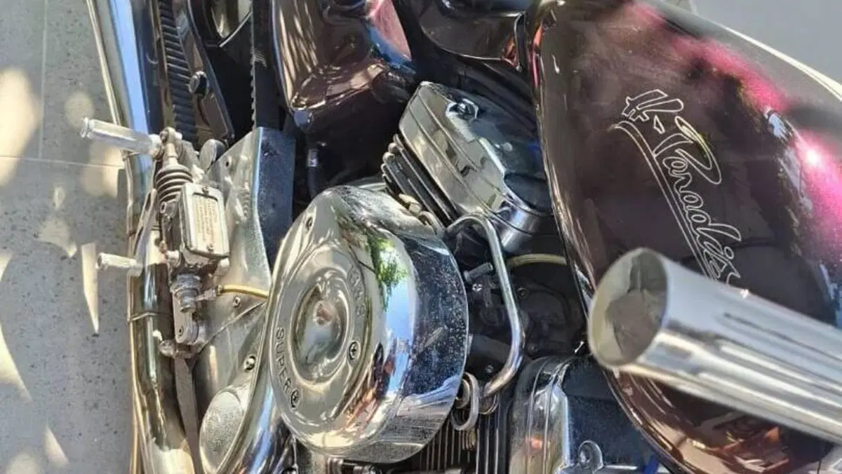 Harley-Davidson   (2)